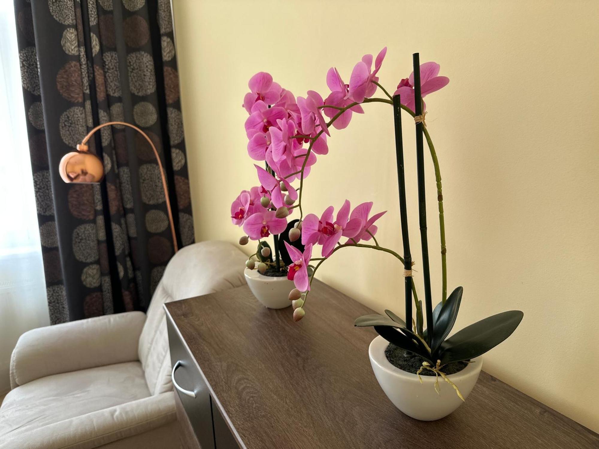 Apartment Zeyerova4 Karlovy Vary Kültér fotó